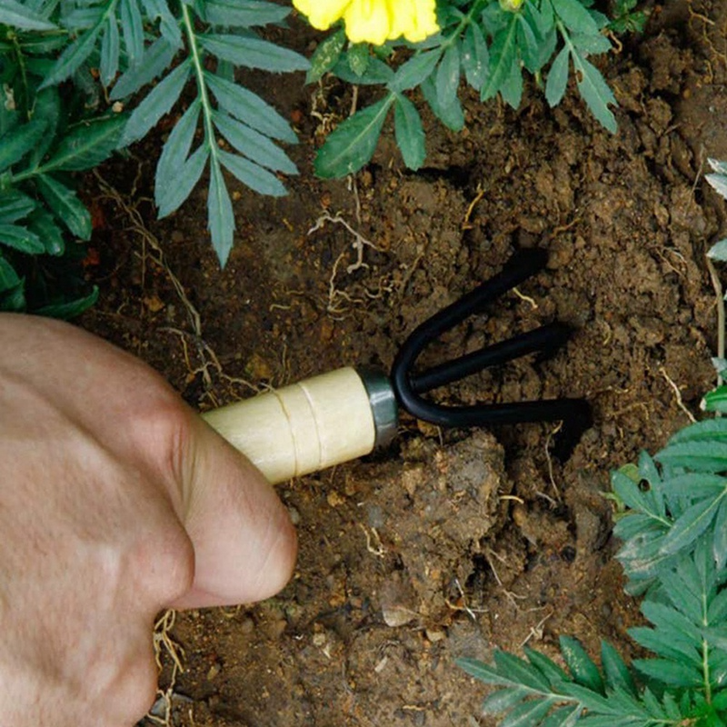 Pack of 3 Gardening tool set Wooden Handle , Set of 3 Piece Garden Tool set, Gardening Tools, extremely High Quality 3pcs / set Mini Garden Tools Wood Handle Stainless Steel Potted Shovel Rake Spade for Flowers Potted Plant