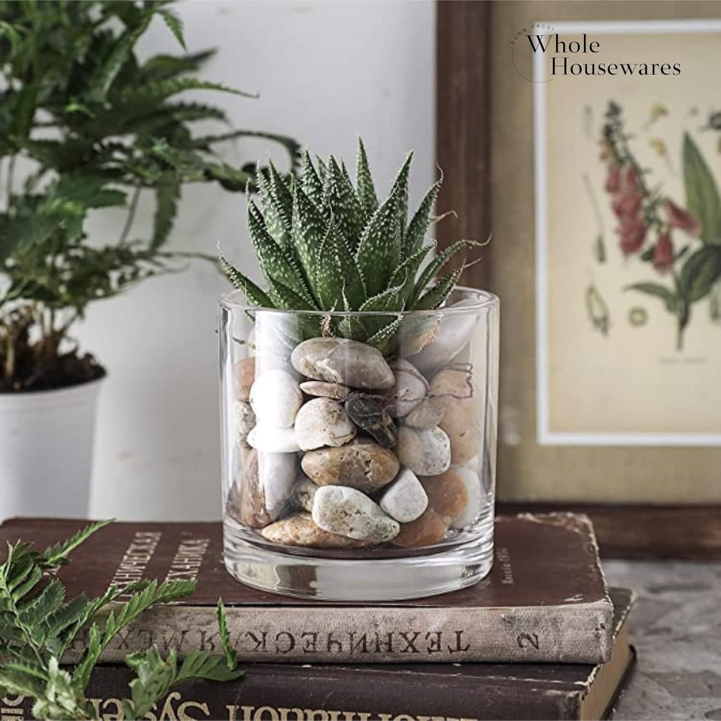 3.7-Inch Clear Plastic Acrylic Cylinder Vases - Versatile Centerpieces for Home, Weddings & Parties