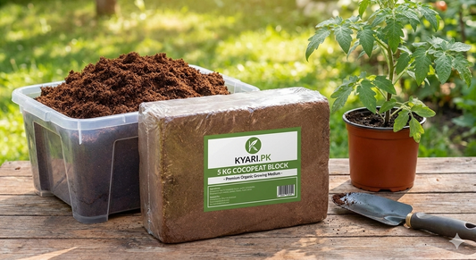 Kyari.pk Premium 5 KG Cocopeat Block | High-Expansion Organic Growing Medium & Soil Improver