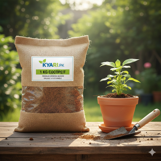 Ready-to-Use Cocopeat Bag | Premium Organic Growing Medium & Potting Mix Additive