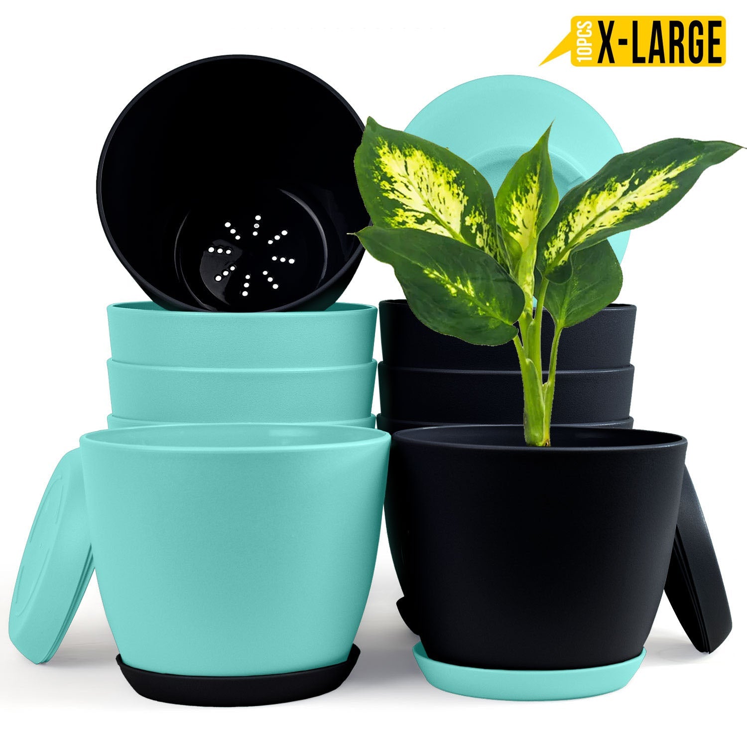 Fast Forward Extra Large Plant Pots with Drainage: Two Vibrant Colors, Ideal for Indoor Planters - Explore Multi-Packs for Plastic Planters, Cactus, and Succulents Pot Deco Fast Forward