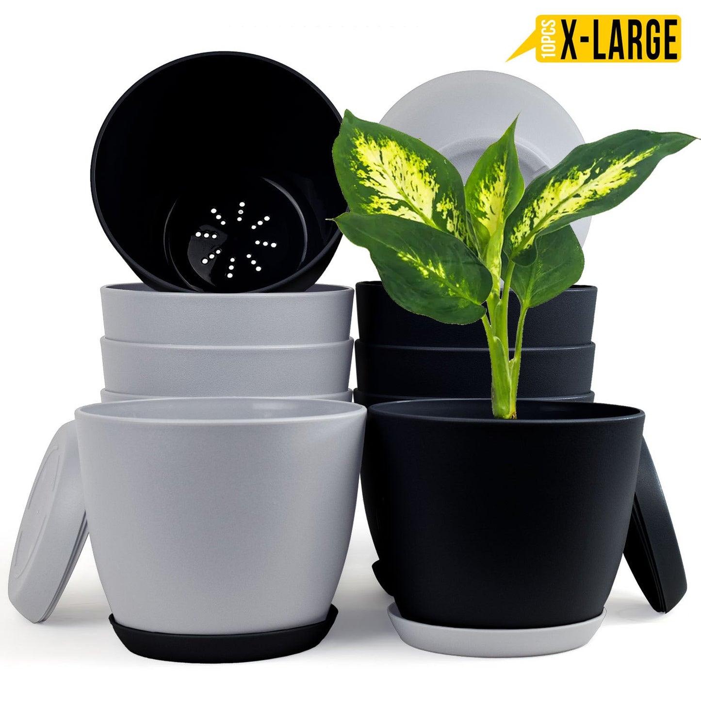 Fast Forward Extra Large Plant Pots with Drainage: Two Vibrant Colors, Ideal for Indoor Planters - Explore Multi-Packs for Plastic Planters, Cactus, and Succulents Pot Deco Fast Forward