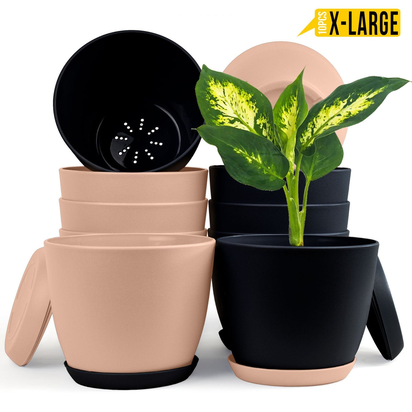 Fast Forward Extra Large Plant Pots with Drainage: Two Vibrant Colors, Ideal for Indoor Planters - Explore Multi-Packs for Plastic Planters, Cactus, and Succulents Pot Deco Fast Forward