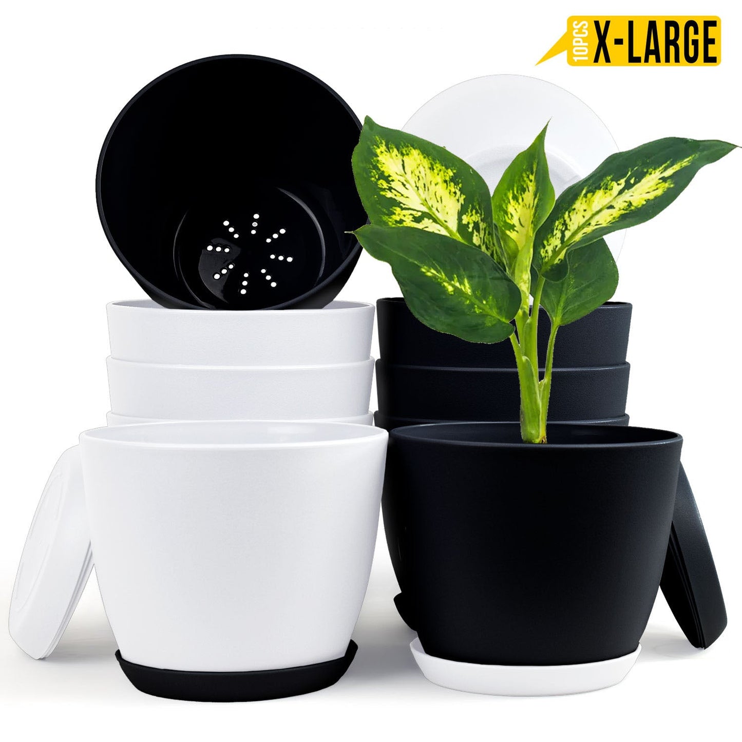 Fast Forward Extra Large Plant Pots with Drainage: Two Vibrant Colors, Ideal for Indoor Planters - Explore Multi-Packs for Plastic Planters, Cactus, and Succulents Pot Deco Fast Forward