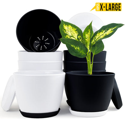Fast Forward Extra Large Plant Pots with Drainage: Two Vibrant Colors, Ideal for Indoor Planters - Explore Multi-Packs for Plastic Planters, Cactus, and Succulents Pot Deco Fast Forward