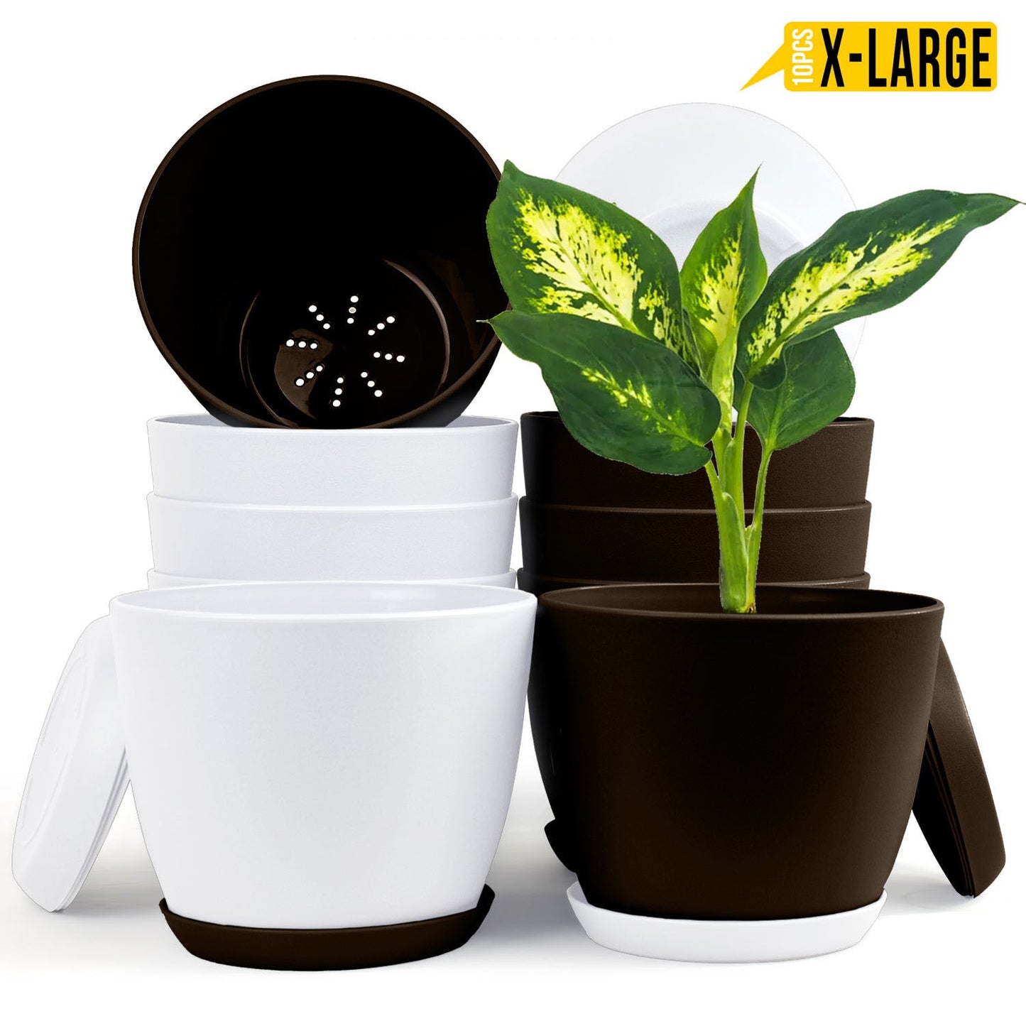 badgeElevate Your Space with Fast Forward Extra Large Plant Pots: Two Vibrant Colors, Drainage, Perfect for Indoor Planters - Explore Multi-Packs for Plastic Planters, Cactus, and Succulents Decor Fast Forward