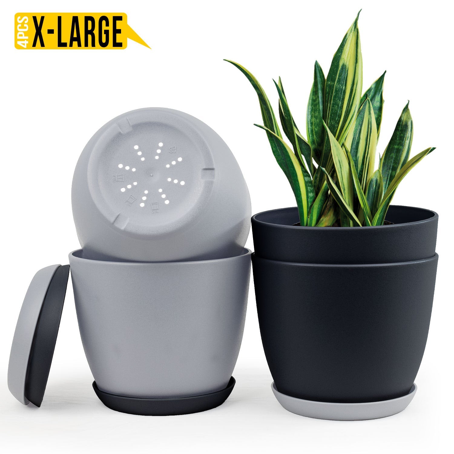 Fast Forward Extra Large Plant Pots with Drainage: Two Vibrant Colors, Ideal for Indoor Planters - Explore Multi-Packs for Plastic Planters, Cactus, and Succulents Pot Deco Fast Forward