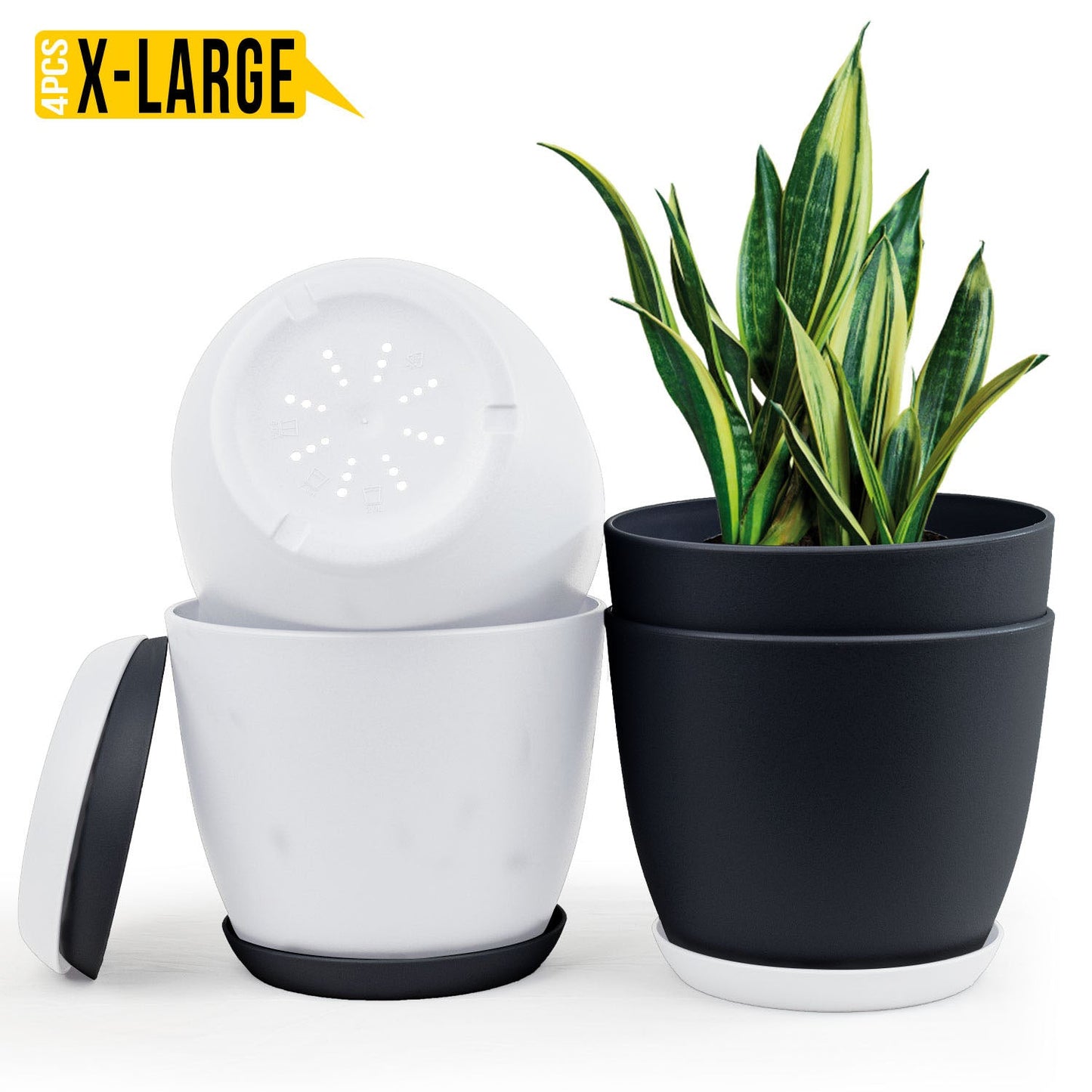 Fast Forward Extra Large Plant Pots with Drainage: Two Vibrant Colors, Ideal for Indoor Planters - Explore Multi-Packs for Plastic Planters, Cactus, and Succulents Pot Deco Fast Forward