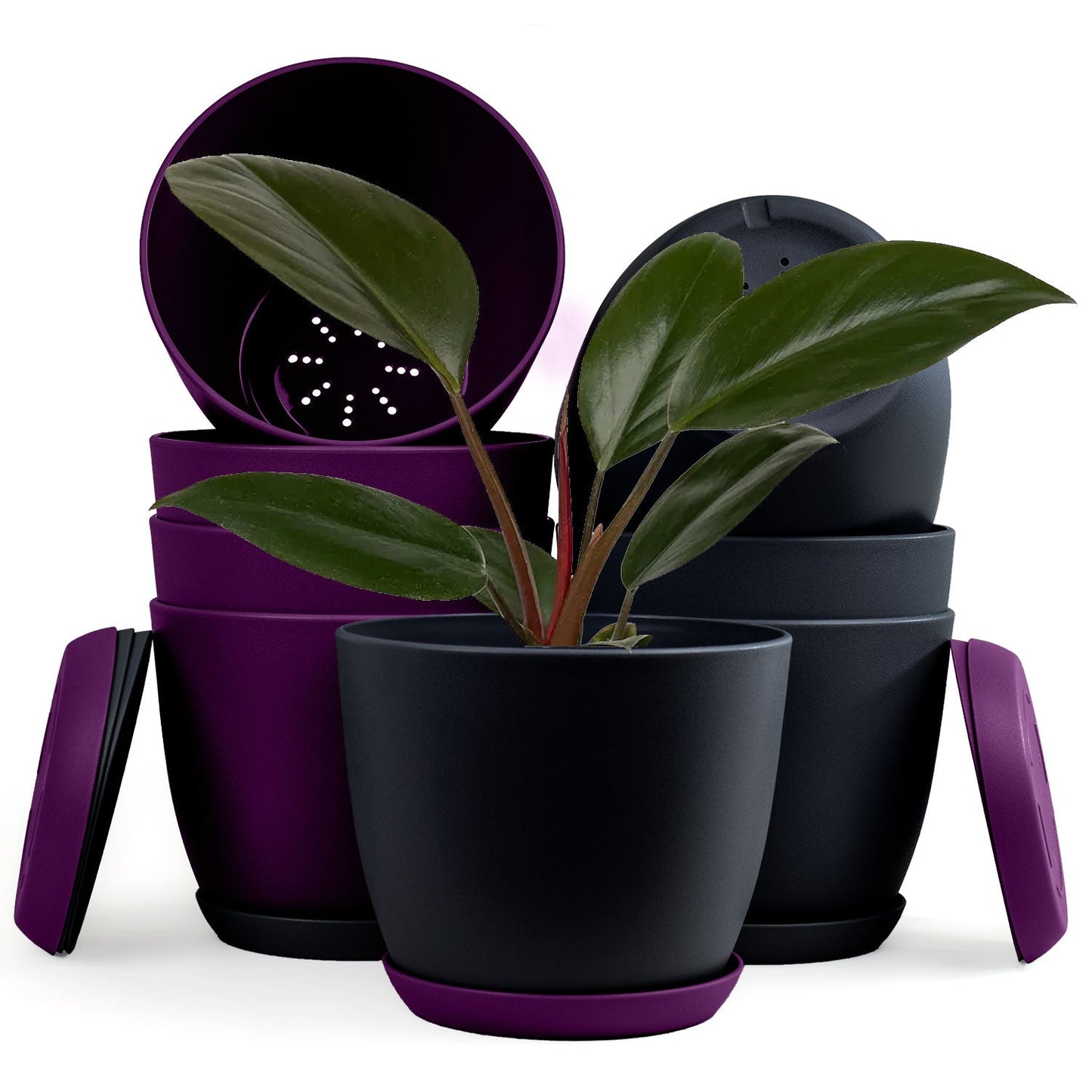 Extra Large Plant Pots with Drainage: Two Vibrant Colors, Ideal for Indoor Planters - Explore Multi-Packs for Plastic Planters
