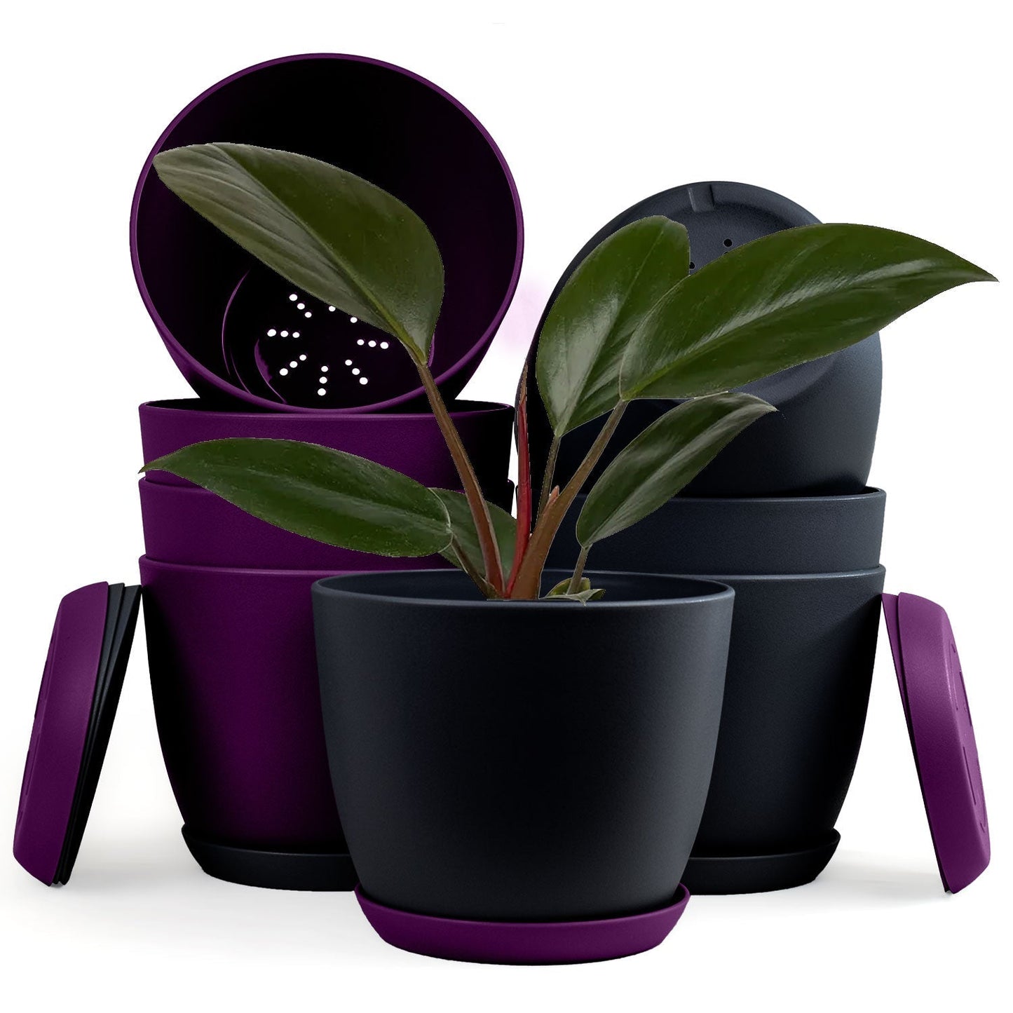 Extra Large Plant Pots with Drainage: Two Vibrant Colors, Ideal for Indoor Planters - Explore Multi-Packs for Plastic Planters