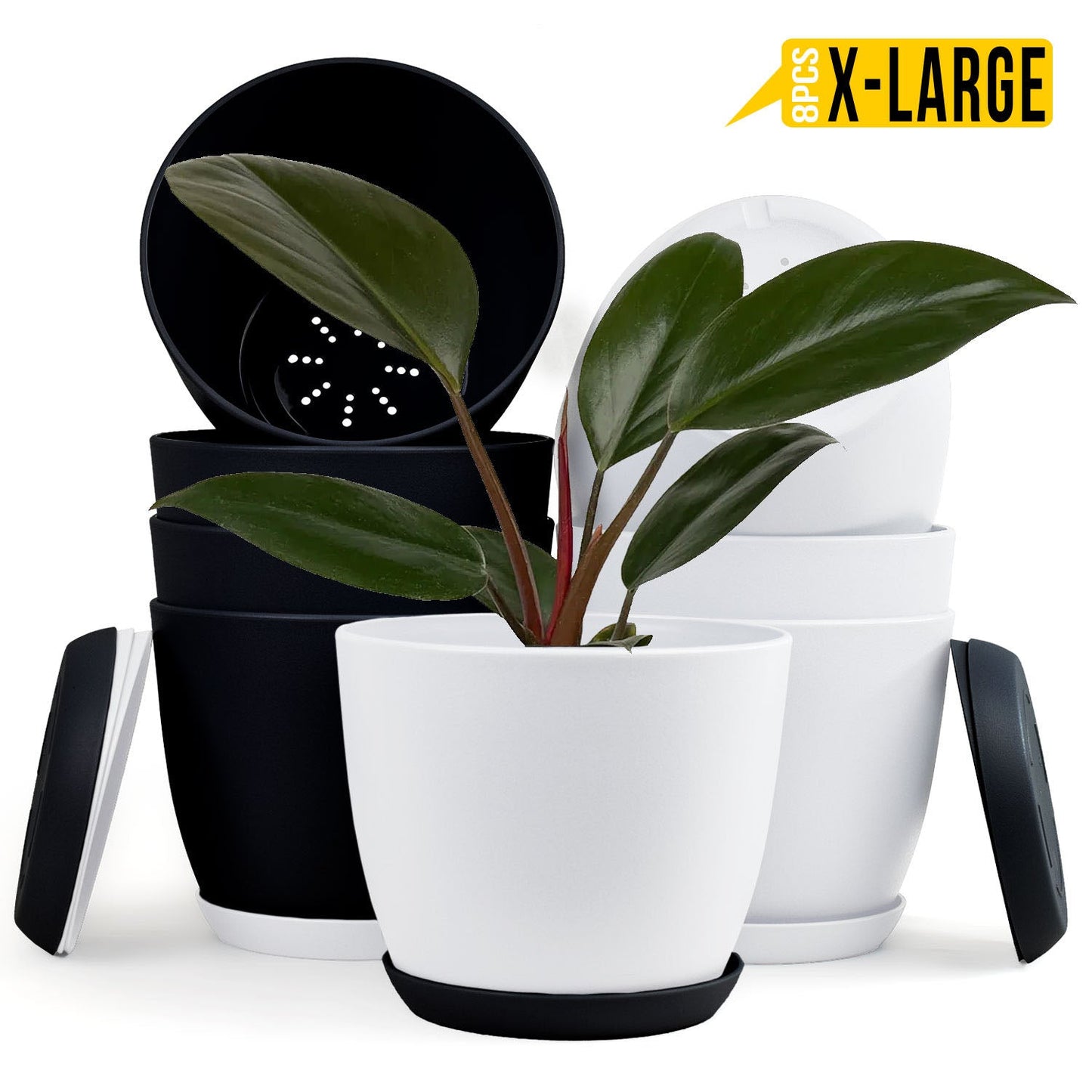 Fast Forward Extra Large Plant Pots with Drainage: Stylish Home Decor Flower Pots in Two Vibrant Colors - Ideal for Indoor Planters, Multi-Packs for Plastic Planters, Cactus, and Succulents Fast Forward