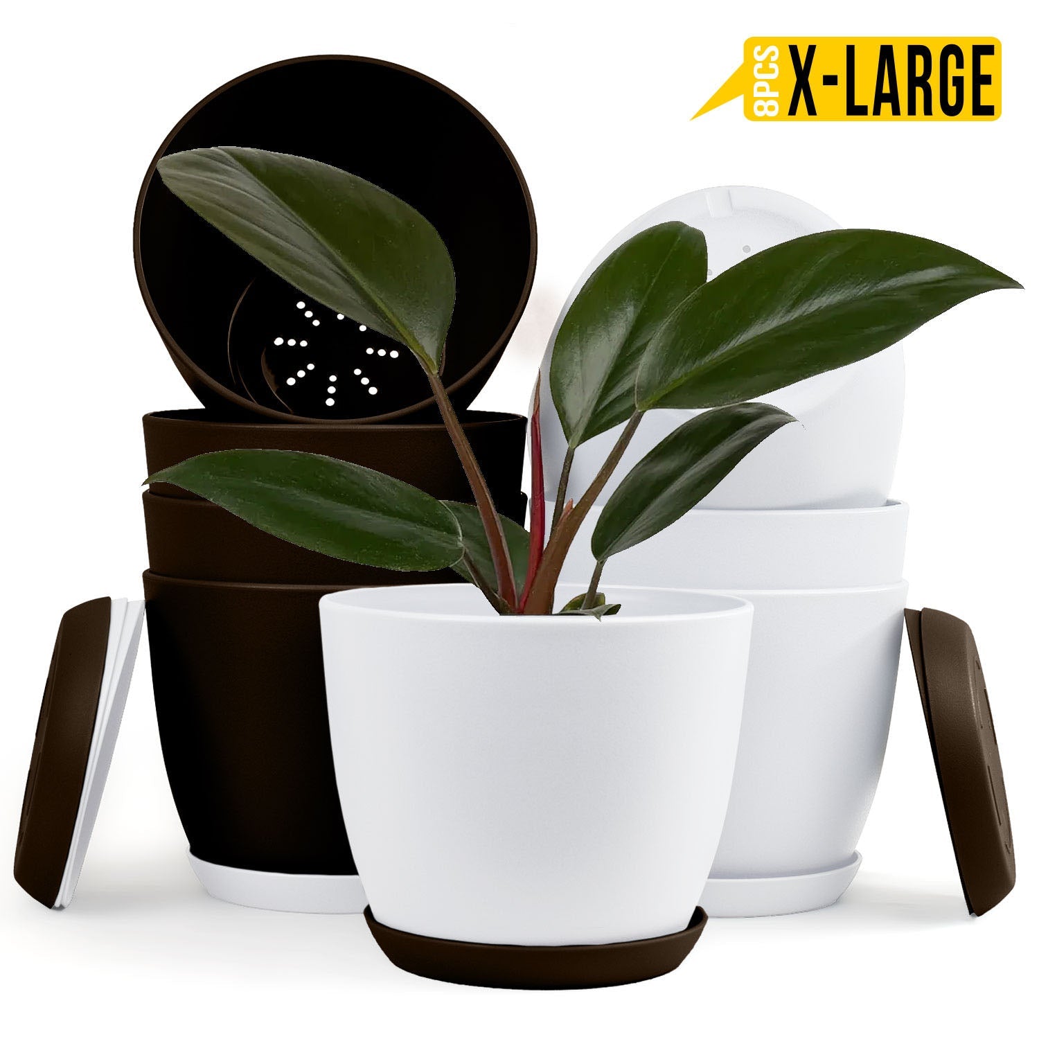 Fast Forward Extra Large Plant Pots with Drainage: Stylish Home Decor Flower Pots in Two Vibrant Colors - Ideal for Indoor Planters, Multi-Packs for Plastic Planters, Cactus, and Succulents Fast Forward