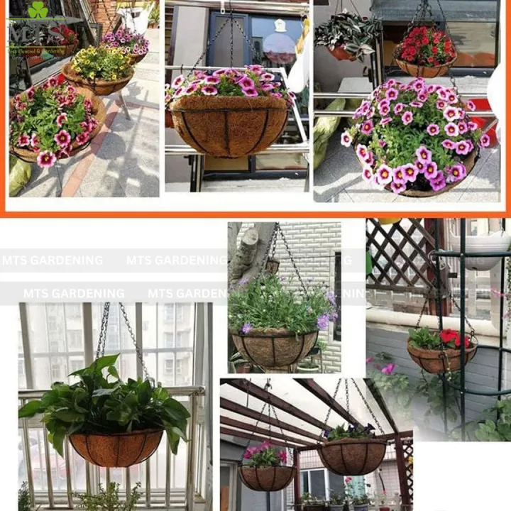 Iron Hanging Basket with Chain & Coco Liner for Balcony, Garden & Home Decoration | Wall Hanging Planter Pot Holder | Indoor Outdoor Plant Hanger | Garden Decor Flower Basket