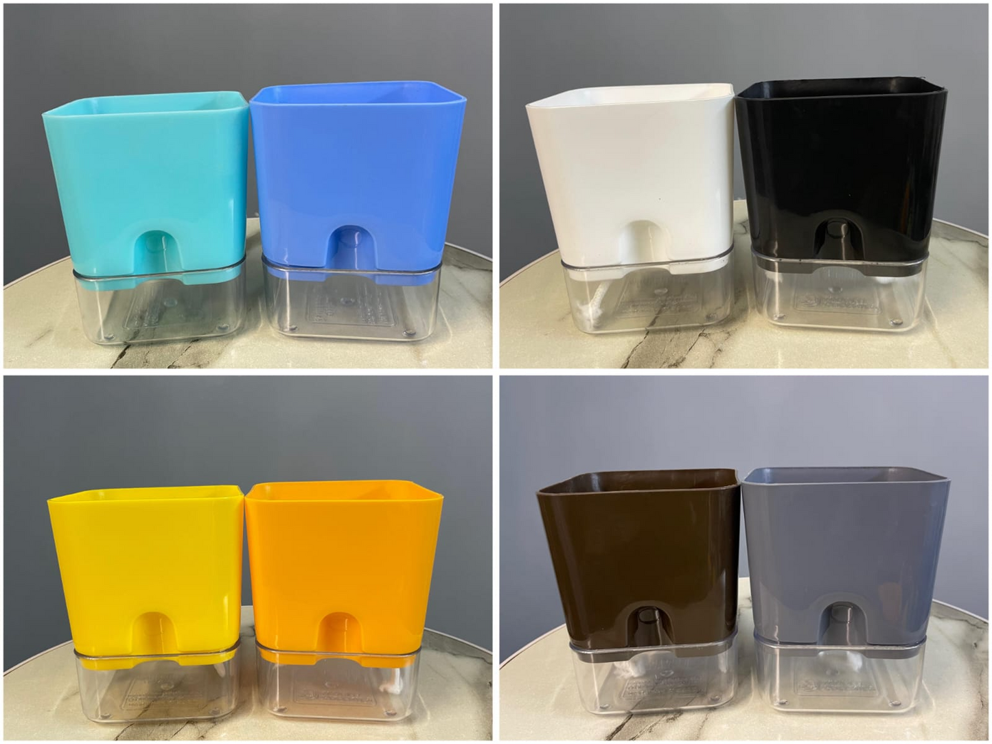 Phoenix Palm With Square Self Watering Pot