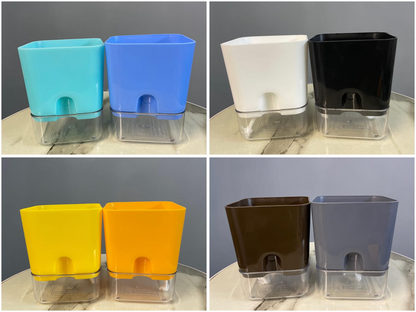 Phoenix Palm With Square Self Watering Pot